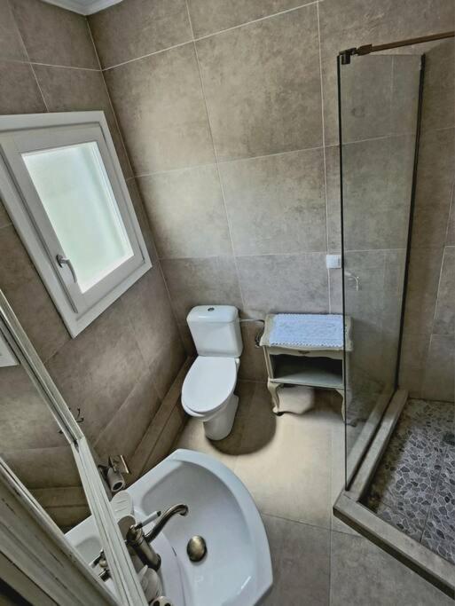Вилла Stellinas Pretty House Андрос Экстерьер фото